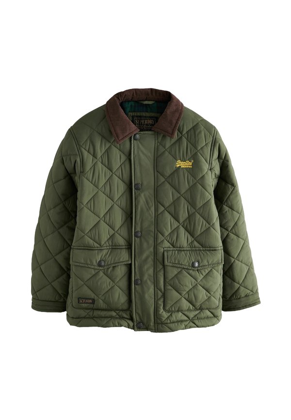 REGULAR FIT - QUILTED COLLARED - Winterjacke