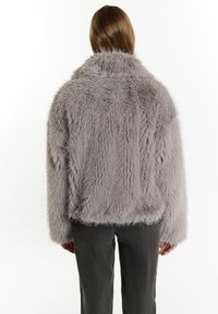 Veste en fourrure synthétique grise avec un col haut, présentant une texture douce et une coupe décontractée, assortie à un pantalon sombre. Pas de matériel visible.