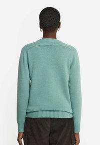 Jasnozielony sweter wykonany z miękkiego dzianiny. Posiada żebrowany dół i mankiety, okrągły dekolt oraz prosty, schludny design.