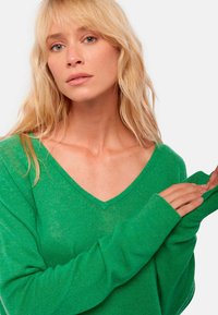 Mahogany FLAVIE - Strickpullover - basil