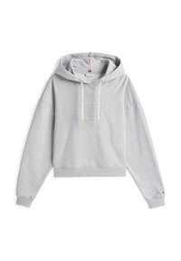 OUTLINE FLAG HOODIE - Sweatshirt - light grey