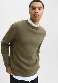 Jauns vīrietis, ģērbts olīvzaļā džemperī virs baltas krekla un svītrainajām biksēm, stāv pretim vienkāršai gaišai fona.