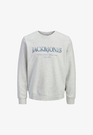 Hellgrauer Pullover mit Rundhalsausschnitt, langen Ärmeln und gerippten Bündchen. Mit einem gedruckten Logo und Text in Dunkelblau über der Brust.