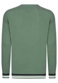 Maglione lavorato a maglia in verde tenue con un motivo testurizzato, caratterizzato da un collo rotondo e polsini a righe contrastanti.