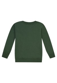 Felpa verde con maniche lunghe, colletto rotondo e polsini a coste. Realizzata in un tessuto morbido con una texture liscia e senza motivi visibili.