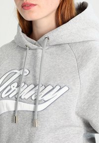 Grijze hoodie met een kangoeroezak, voorzien van een wit geborduurd logo en metallic accenten op het koord. Zachte katoenmix.