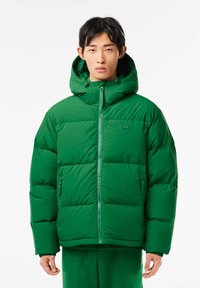Lacoste Gewatteerde jas - rocket