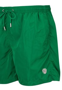 Groene zwemshorts van lichtgewicht materiaal met een elastische tailleband en verstelbaar trekkoord, met een klein logo aan de zijkant.