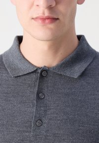 Calvin Klein POLO SWEATER - Pullover - dark grey heather