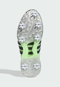adidas Golf Golfcipők - cloud white   core black   green spark