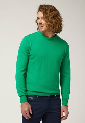 Maglione verde a maglia con maniche lunghe e scollatura rotonda, caratterizzato da un orlo a costine. Design semplice, materiale leggero, dettaglio del logo sottile.