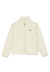 SUMMERDALE PUFFER - Winter jacket - wood ash