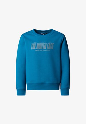 Zils džemperis no mīkstas auduma ar apaļu kakla izgriezumu, garām piedurknēm un ribotu vidukļa malu. Priekšpusē grafiskais attēls: "THE NORTH FACE" logotips.