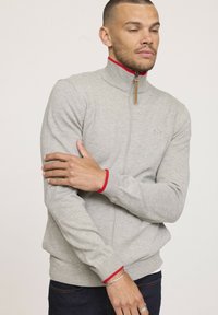 Sweat à zip gris clair avec col haut, accents rouges sur le col intérieur et les poignets. Texture douce et design ajusté. Logo en relief sur la poitrine.