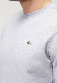 Primer plano de una persona que lleva un sudadero de cuello redondo gris claro con un pequeño logo de cocodrilo verde bordado en el pecho.
