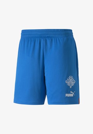 Blue athletic shorts made of lightweight fabric. Features elastic waistband, white logo, and snowflake design on the lower side.