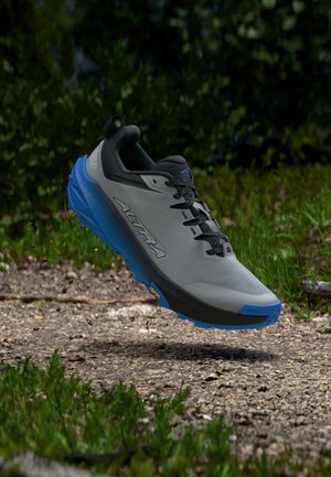 Altra EXPERIENCE WILD 3+ - Παπούτσια για τρέξιμο σε μονοπάτια - ultimate grey/silver-coloured