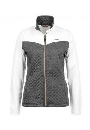 Peak Mountain ACAMPBELL - Veste polaire - gris