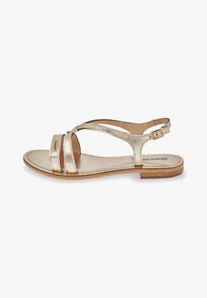Metallic gold sandals with a flat wooden sole, featuring two straps across the foot and a buckled ankle strap. Smooth leather texture.