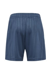 Blå sportshorts i slätt tyg, med vertikala randiga mönster, elastisk midja och avslappnad passform, vy från baksidan.