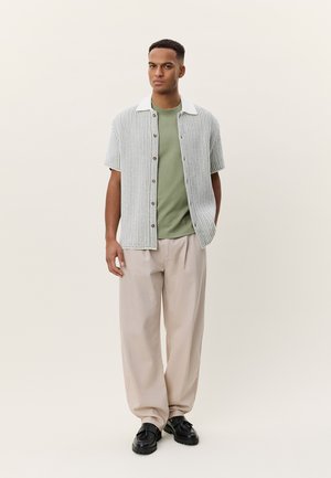 Ανοιχτό γκρι κοντομάνικη πλεκτή μπλούζα με λευκό γιακά και καφέ κουμπιά, πάνω από πράσινο μπλουζάκι. Ανοιχτό μπεζ παντελόνι και μαύρα παπούτσια.