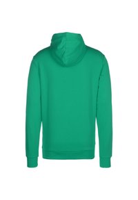 Puma TEAMGOAL 23 CASUALS HOODIE HERREN - Felpa con cappuccio - pepper green