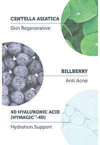 Miniatuurafbeelding 5