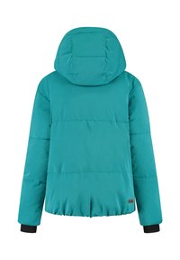 Cyan gewatteerde winterjas met kap en lange mouwen, elastische zoom en zwarte binnenmanchetten, getoond vanuit de achterkant.