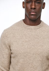 Suéter de punto beige con cuello redondo y mangas largas. La textura es suave con un patrón ligeramente jaspeado en todo su diseño.
