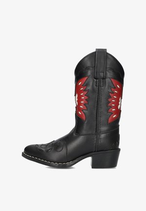 Zwarte leren cowboylaars met rood en witte bloempatronen, decoratieve stiksels, puntige neus en een stevige blokhak.