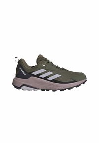 Adidas Terrex ANYLANDER - Chaussures de running - olive strata   silver dawn   amber tint