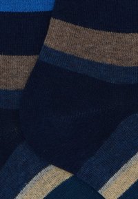 Gallo STRIPES - Calzettoni - royal corda