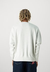 Replay M9Z1 SWEATER - Felpa - ash grey