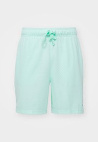 SHORT - Pantalón corto de deporte - mint foam/black