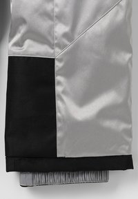 Spyder Pantalón de nieve - silver-coloured