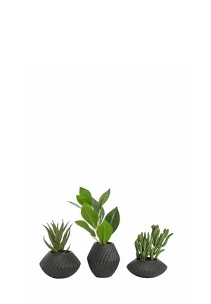 Next, SET OF 3 ARTIFICIAL SUCCULENTS IN BLACK BRONX POTS UNISEX - Blomsterkrukker - green