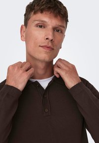 Only & Sons WYLER LIFE REG 14 LS NOOS - Polo shirt - braun