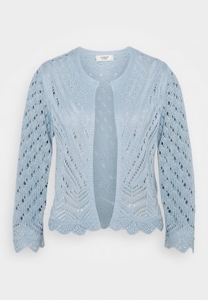 Cardigan bleu clair en maille, ouvert sur le devant, avec manches longues et bords festonnés, présentant un délicat motif en dentelle sur toute la surface.
