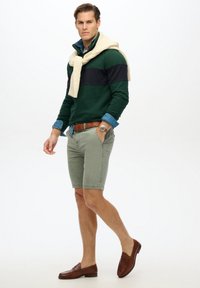 Felpa a righe verdi e blu navy, indossata sopra una camicia azzurro chiaro, abbinata a pantaloni cargo beige e mocassini marroni. Orologio al polso sinistro.