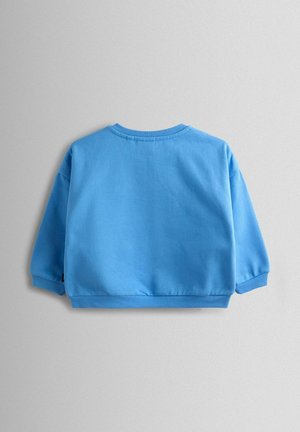 Sinine puuvillane dressipluus ümmarguse kaelusega, langenud õlgade ja soonikkoes mansettidega. Sile tekstuur, lõdvestunud lõige ja elastne ääreosa.