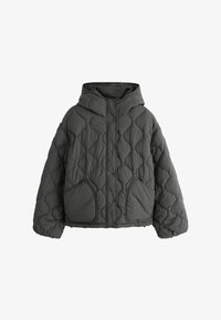 Ej vald, grey