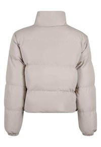 Veste courte gonflante en beige clair, dotée d'un col haut et de poignets élastiques. Texture de tissu lisse avec des détails de couture horizontale.