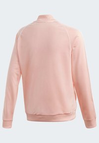 Vaaleanpunainen pitkähihainen takki, jossa on resoroidut hihansuut ja helma, valkoinen koristeviiva raglanhihojen varrella, esitetty takaa vaaleanharmaalla taustalla.