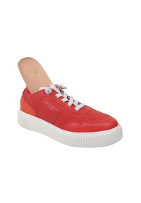 Czerwona casualowa tenisówka z białymi sznurowadłami, grubą białą podeszwą i częściowo wyciągniętą beżową wkładką, marki "Crickit" na boku i wkładce.