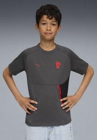 Grå t-shirt med kort ärm, med en röd logotyp och detaljer, som har en kontrasterande panel med en ficka med dragkedja. Lättviktig tyg.