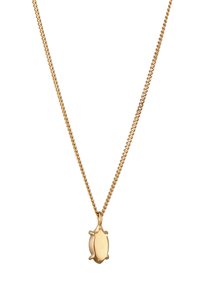 Collier en or avec un pendentif en forme de tortue, finition lisse, texture de carapace détaillée et forme arrondie, suspendu à une fine chaîne torsadée.