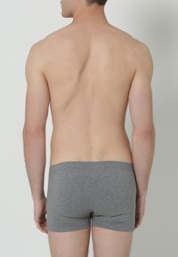 Calida EVOLUTION  - Boxer brief - dust melange
