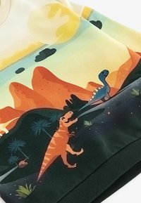 Dinosauruse trükkiga dressipluus. Omab värvikat disaini, millel on kollane päike, punased mäed ja rohelised detailid, valmistatud pehmest kangast.