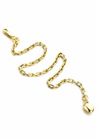 Kuldne ahelrõngas, millel on ovaalsed lingid, ja ühe otstega südamekujuline ripats ning kinnitamiseks klamber. Sile tekstuur.