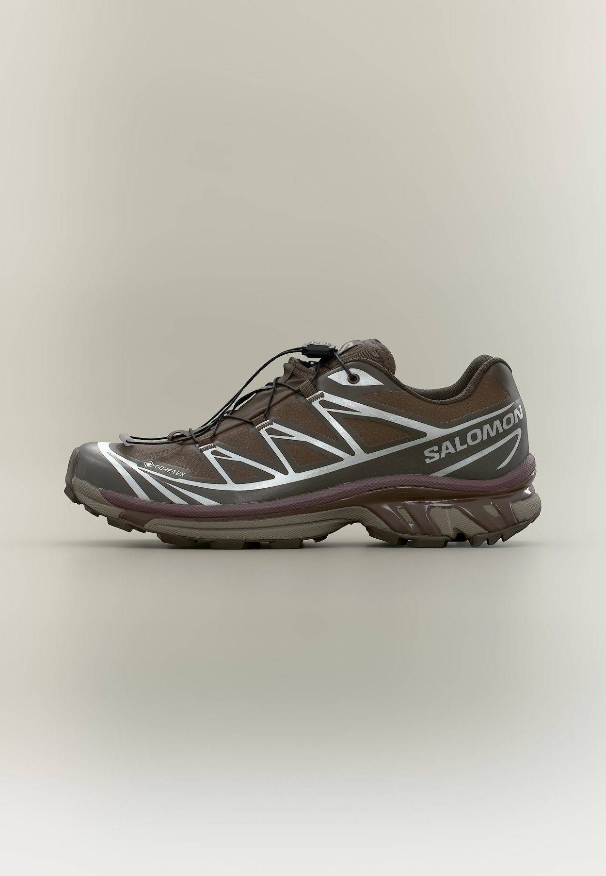 Salomon XT 6 GTX UNISEX - Trainers - earth brown/delicioso/huckleberry